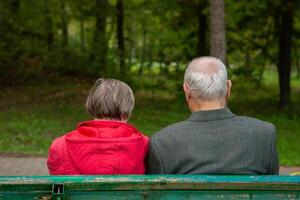 Back view of a senior couple sitting on a bench in the park. Elderly couple. photo