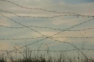 Photo with barbed wire as the symbol of the prison or the border fence.