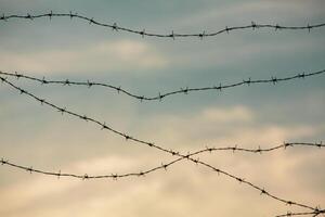 Photo with barbed wire as the symbol of the prison or the border fence.