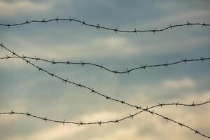 Photo with barbed wire as the symbol of the prison or the border fence.