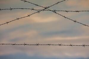 Photo with barbed wire as the symbol of the prison or the border fence.