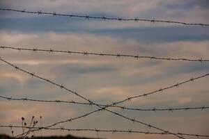 Photo with barbed wire as the symbol of the prison or the border fence.