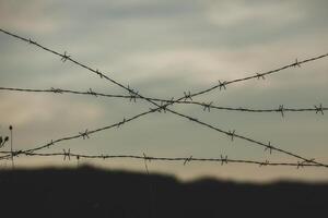 Photo with barbed wire as the symbol of the prison or the border fence.
