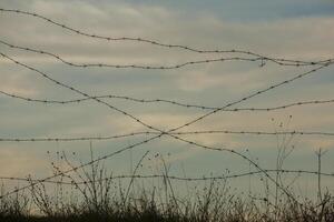Photo with barbed wire as the symbol of the prison or the border fence.