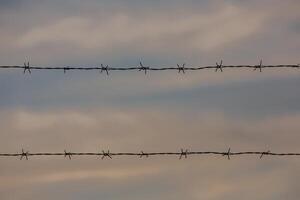 Photo with barbed wire as the symbol of the prison or the border fence.
