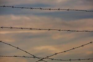 Photo with barbed wire as the symbol of the prison or the border fence.