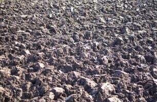 Soil for cultivation. Ploughed field. photo