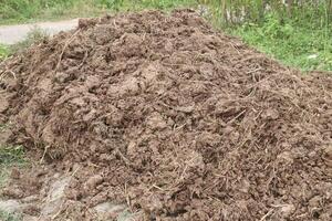Heap of compost fertilizer on field photo