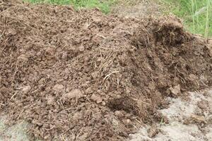 Heap of compost fertilizer on field photo