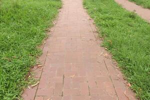 Red brick walkway with green grass photo