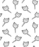Seamless pattern of doodle sketch shell vector
