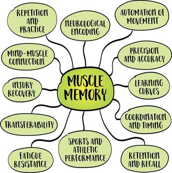 Muscle memory, the ability to perform a specific motor task automatically after it has been learned through repetition, mind map infographics sketch. vector