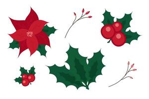 Hand painted Christmas floral elements set. Flat winter botanical illustration of , red poinsettia, berries, branches and leaves. Holiday objects isolated on white background vector