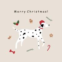 Christmas Dalmatian. Christmas card with Dalmatian. graphics vector