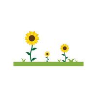 Sunflower icon illustration vector
