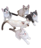 A group of kittens are standing in a circle png