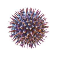 Refined Virus Particle with Magnified Detail Isolate transparency Background png