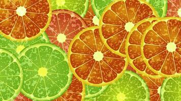 Citrus mixture of fruit slices, oranges, limes. A bright, colorful moving palette, with a refreshing summer vibe. video