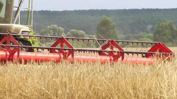 Harvesting of field with combine. Combine harvesters working on wheat field. video