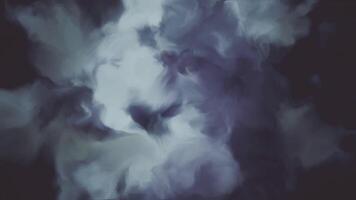 Elegant dark floral background animation in the style of an abstract watercolor or oil painting with gently blending delicate flowers in moody color tones. video