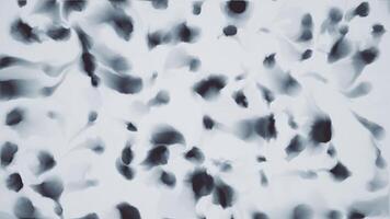 Black and white abstract background with a pattern of gently moving ink blots or splatters. video