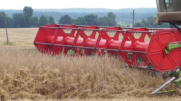 Harvesting of field with combine. Combine harvesters working on wheat field. video