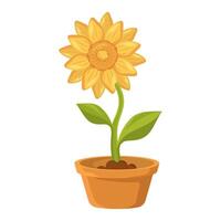 sunflower in a pot with a simple and cute style vector