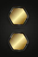 Group of two hexagons premium shapes Black and gold buttons design with gold gradient color, Two metallic options chart , illustration vector