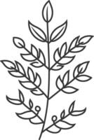Line Drawing of a Branch with Leaves and Berries vector