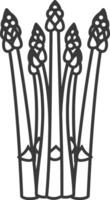 Line drawing of a bunch of asparagus spears vector