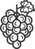 Line drawing of a bunch of grapes with a leaf vector