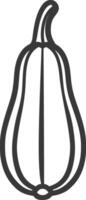 Line Drawing of a Butternut Squash vector