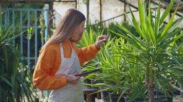 joyful young student girl in greenhouse, botanist florist examining green plants and bug video