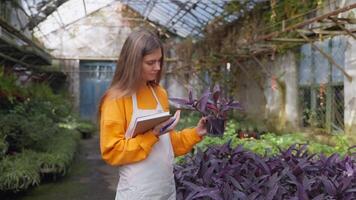 female botanist student viewing plant in greenhouse, education and research in botany, portrait video