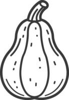 Line Drawing of a Butternut Squash vector