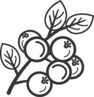 Line Drawing of a Branch with Five Blueberries and Leaves vector