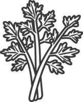 Line Drawing of a Bunch of Parsley vector