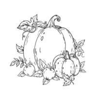 outline autumn illustration with pumpkin, leaves and apples. vector