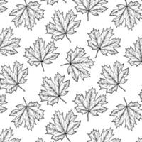 Line art graphic pattern with leaves of maple. Black and white background. vector