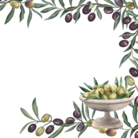 Frame decorated with illustrations of branches, olive leaves, vase, plate filled with olives. The plant and dishes are hand-drawn with watercolors in a botanical style. For menu design, packaging png