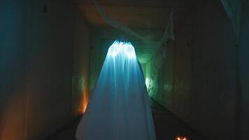 The Smooth Movement Of The Ghost photo
