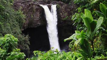 Water Cascading Down Over Cliff Hilo Hawaii Rainbow Falls Big Island With Plants In Foreground video