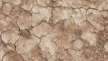 A cracked and broken surface, possibly a rock or a piece of land. photo