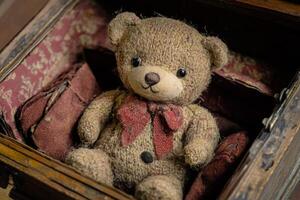 Old teddy bear abandoned inside a vintage suitcase photo