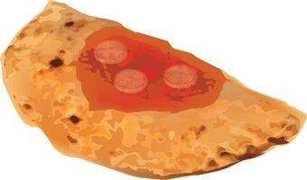 A pizza with red sauce on it vector
