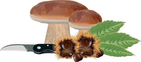 Mushrooms and a knife with leaves vector