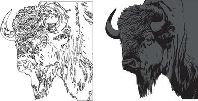 Two bison heads are shown in black and white vector