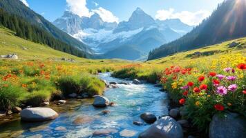 Beautiful mountain stream with flowers and rocks in the foreground photo