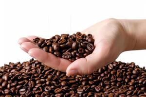 Hand Holding Coffee Beans on White Background photo