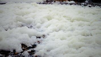 Dirty foam on the water and the seashore, eutrophication, pollution of the reservoir video